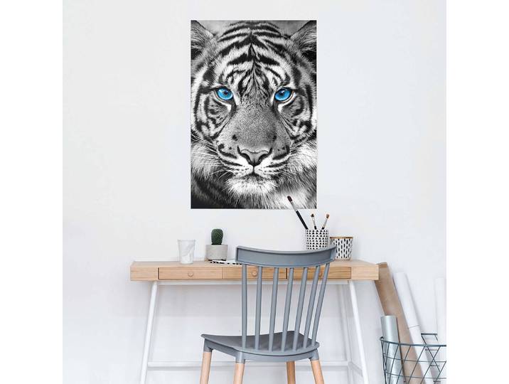 Poster Regard du tigre Papier Noir 61 x 92 x 0cm