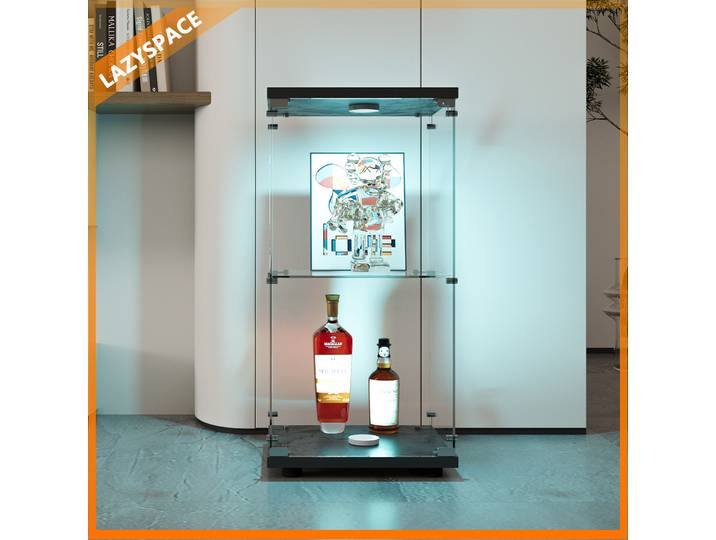 Vitrine en verre Lazyspace, vitrine en bois et verre à 2 couches, vitrine de collection, 1 porte avec LED et serrure