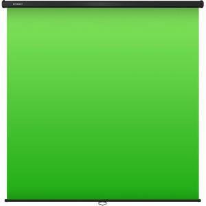 ESMART Greenscreen Rollo, Rollo-Geenscreen, stationär, (B/H) 200 x 200 cm