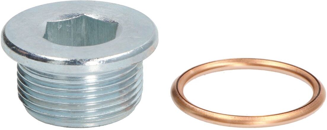 Bouchon de vidange ELRING 108.480