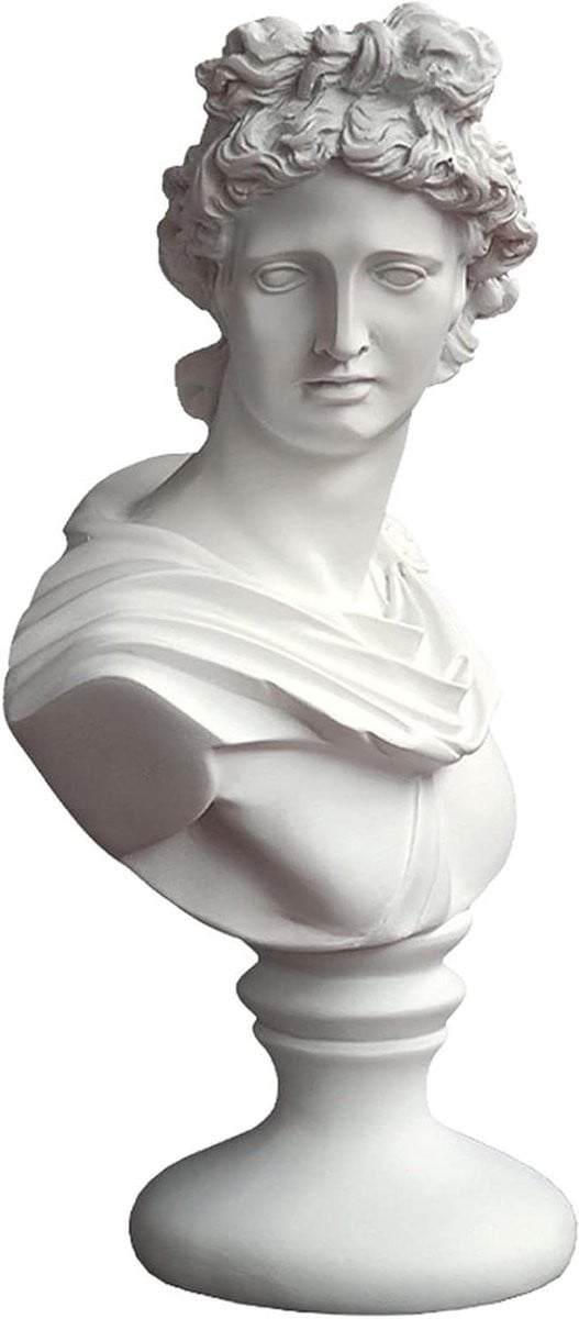 Wit Hars Beeld David Buste Standbeeld voor Woondecoratie Hoogte: 31 cm