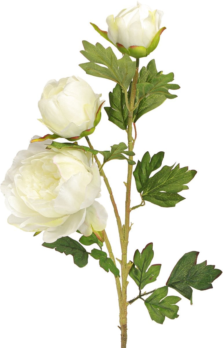 Set van 2 kunstpioenrozen met 3 bloemen in wit en crème, 81 cm
