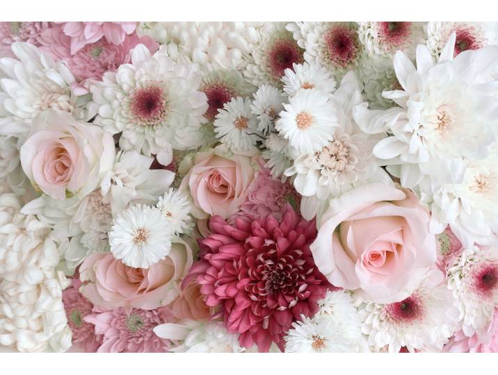Fototapete PAPERMOON ROSEN-GÄNZEBLÜMCHEN BLUME PFLANZE STRAUss MAKRO NATUR , bunt, B:2,5m L:1,86m, Vlies, Tapeten, Fototapete