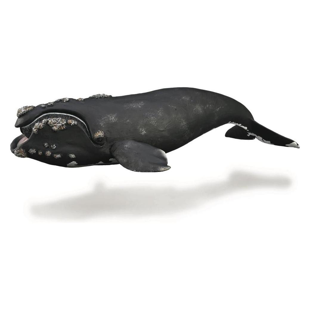 Collecta Wal (40962288)