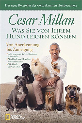 Cesar Millan - Hunde - Was Sie von Ihrem Hund lernen können: Von Anerkennung bis Zuneigung. Folgen Sie Ihrem Hund auf dem Weg zu einem glücklicheren Leben. Lebenshilfe für Menschen vom Hundeflüsterer. - Preis vom 30.09.2026 09:01:18 h