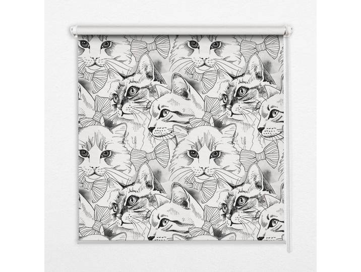 INNENROLLO - Fensterrollo - Rollo - 60x40 cm - Gezeichnete Katzen