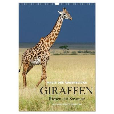 Magie des Augenblicks - Giraffen - Riesen der Savanne (Wandkalender 2027 DIN A3 hoch), CALVENDO Monatskalender