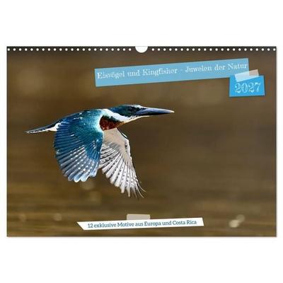 Eisvögel und Kingfisher – Juwelen der Natur (Wandkalender 2027 DIN A3 quer), CALVENDO Monatskalender