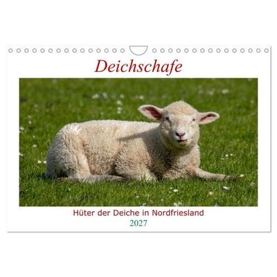 Deichschafe - Hüter der Deiche in Nordfriesland (Wandkalender 2027 DIN A4 quer), CALVENDO Monatskalender