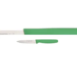 Schneider - Gemüsemesser, 10 cm Griff grün