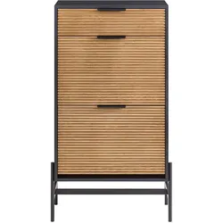 SoBuy, Schuhschrank, Nia (40.10 x 60.10 x 111.50 cm)
