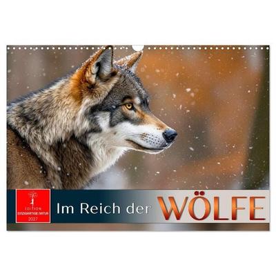 Im Reich der Wölfe (Wandkalender 2027 DIN A3 quer), CALVENDO Monatskalender