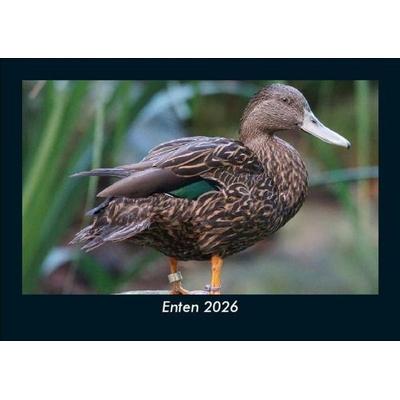 Enten 2026 Fotokalender DIN A5