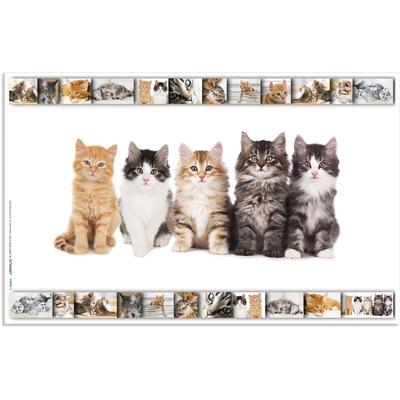 HERMA Schreibunterlage 55x35cm Katzen