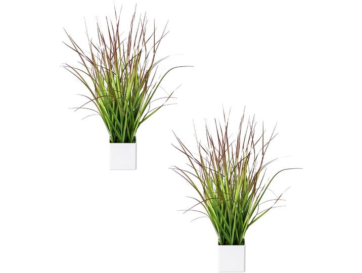 Kunstgras CREATIV GREEN Blutgras , grün (grün, rot), B:9cm H:46cm, Kunststoff, Kunstpflanzen, Kunstgras, im weißen Kunststofftopf