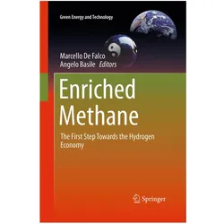Enriched Methane, Fachbücher von Angelo Basile, Marcello de Falco