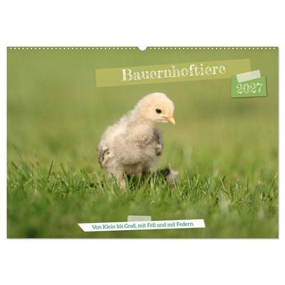 Bauernhoftiere - Von Klein bis Groß, mit Fell und mit Federn. (Wandkalender 2027 DIN A2 quer), CALVENDO Monatskalender