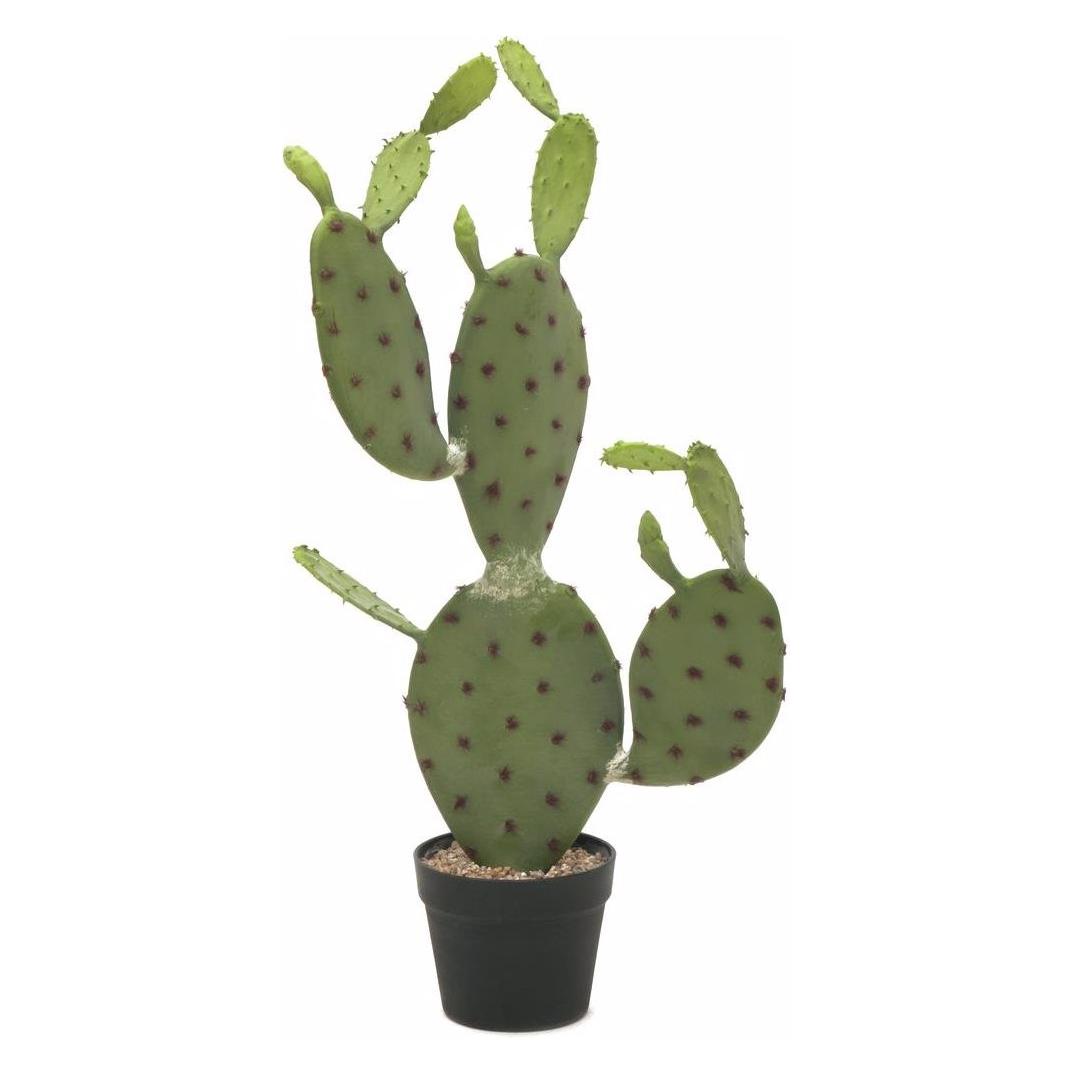 Europalms Blätterkaktus (75 cm) (82600068)