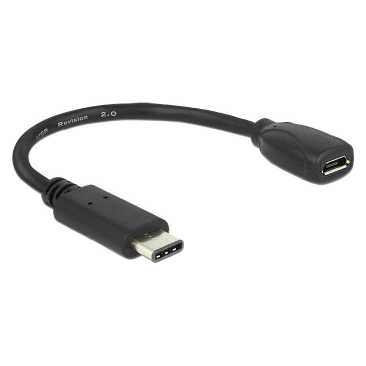 Delock USB Kabel (0.15 m, USB 2.0) (65578)