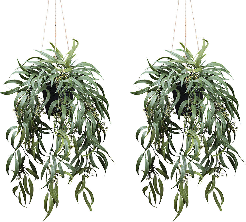 kaiserkraft Künstliche Pflanze Eukalyptus globolus mit Fruchtstand, 2er-Set, Kunststofftopf, Höhe 650 mm