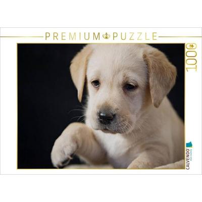 CALVENDO Puzzle Labrador Welpe | 1000 Teile Lege-Größe 64x48cm Foto-Puzzle für glückliche Stunden