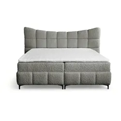 BOXBETT Nova In Rolf