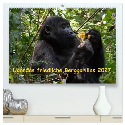 Ugandas friedliche Berggorillas (hochwertiger Premium Wandkalender 2027 DIN A2 quer), Kunstdruck in Hochglanz