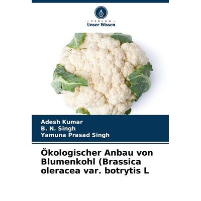 Ökologischer Anbau von Blumenkohl (Brassica oleracea var. botrytis L, Taschenbuch von Adesh Kumar,B. N. Singh,Yamuna Prasad Singh, Verlag Unser