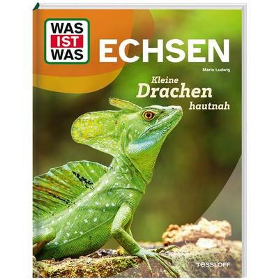 WAS IST WAS Echsen. Kleine Drachen hautnah, Gebundene Ausgabe von Mario Ludwig, Tessloff Verlag Ragnar Tessloff GmbH & Co. KG, 978-3-7886-8182-1