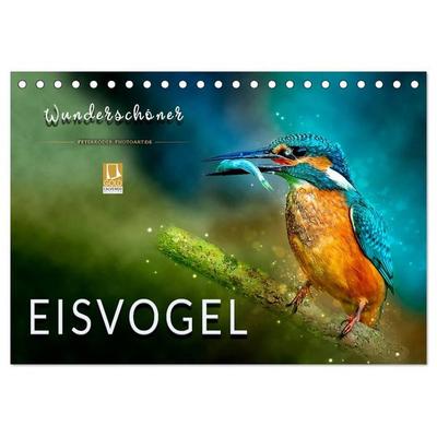 Wunderschöner Eisvogel (Tischkalender 2027 DIN A5 quer), CALVENDO Monatskalender
