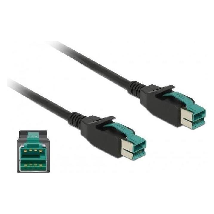 Delock 85496 PoweredUSB Kabel Stecker 12 V (5 m, USB 2.0) (85496)