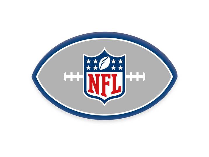 Coussin NFL Multicolore 33 x 2 x 23cm Microfibre