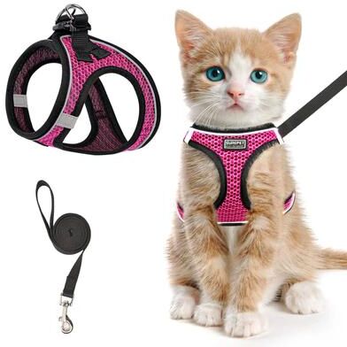 Inspire Essentials Adventure Cat Harness Set c s