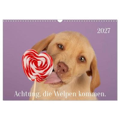 Achtung die Welpen kommen. (Wandkalender 2027 DIN A3 quer), CALVENDO Monatskalender