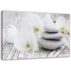 BILD Weiße Orchidee und Steine 100x70cm