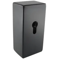 Schlüsselbox Schlüsseltresor Schlüsselsafe TR855, Stahl