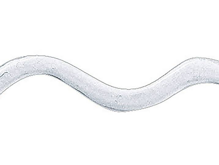 Rayher Wachs-Liner 30 ml