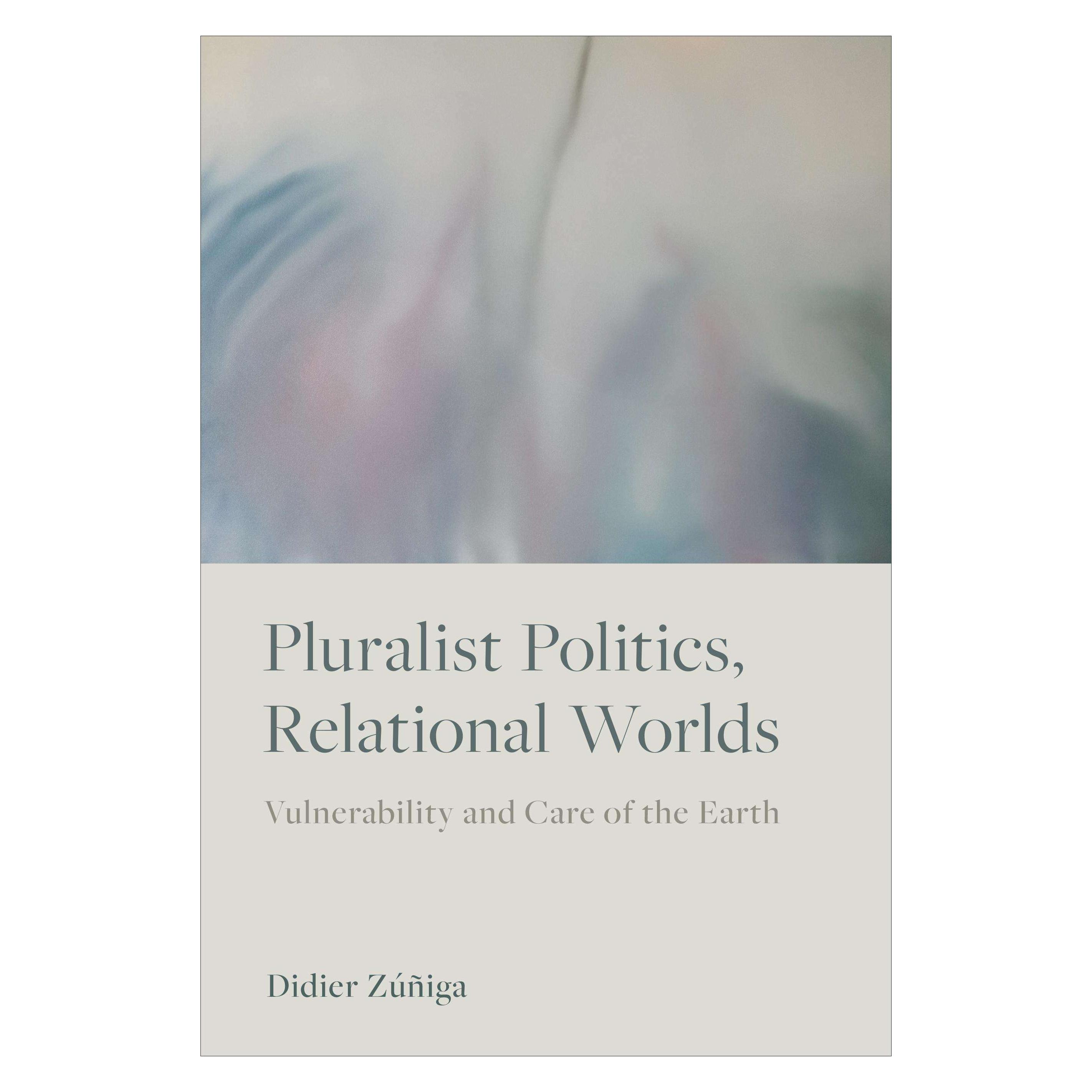 University Of Toronto Pluralist Politics, Relational Worlds (Englisch, Softcover, Didier Zuniga) (45641494)
