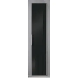 Glastür LIVIN LISSABON (BHT 45x221x2 cm) - grau - BHT 45x221x2 cm