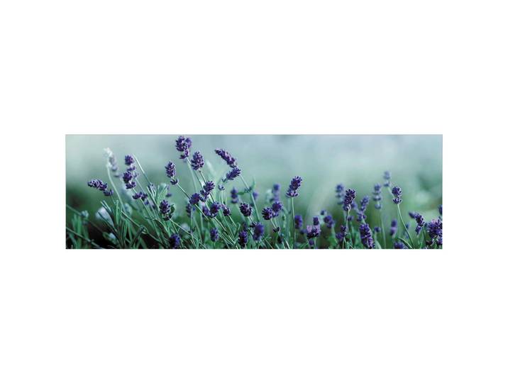 Fani Küchenrückwand Smart - Glas, Türkis, Flieder, Metall, Kunststoff, Lavendel, 210x63.7x0.6 cm, mit Dekor, Spritzschutz, individuell zuschneidbar, Echtglas-Optik, eventuelle Anpassungen vor Ort nötig, Küchen, Küchenausstattung, Küchenrückwände