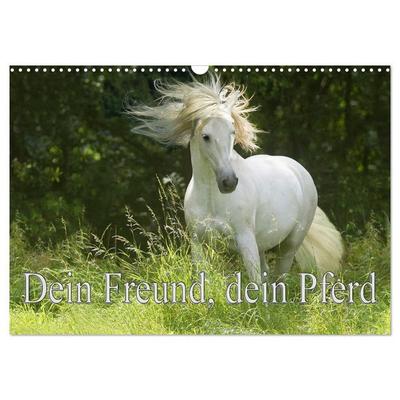 Dein Freund, dein Pferd (Wandkalender 2027 DIN A3 quer), CALVENDO Monatskalender