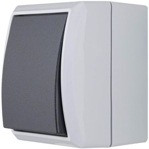 REV-Ritter Lichtschalter AquaForm, grau, Aufputz 2-fach, Feuchtraum IP44, Tastschalter Schließer