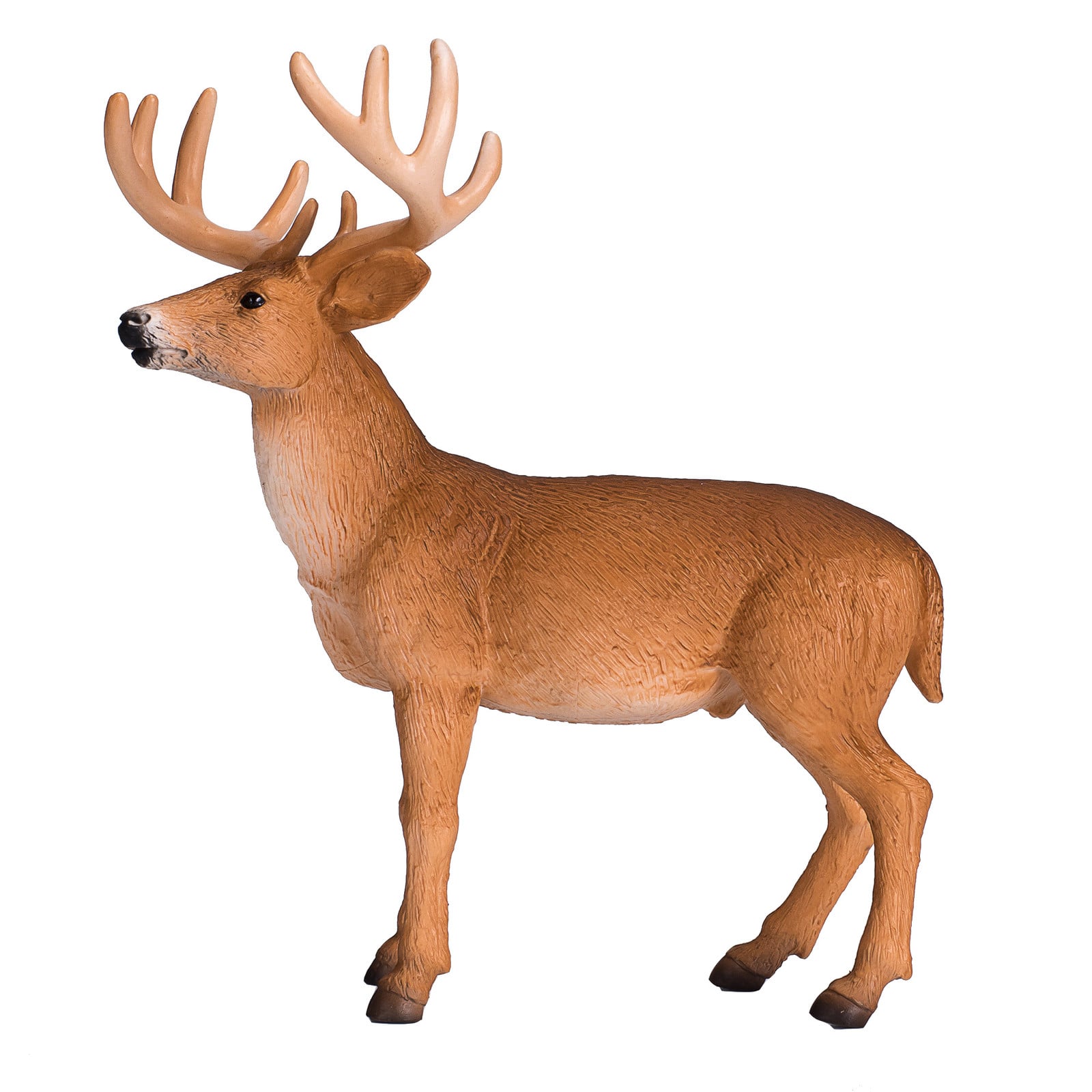 Animal Planet Hirsch