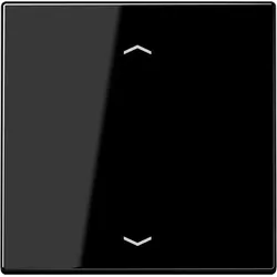 Jung Wippe Symbole sw LS 990 P SW LS990PSW