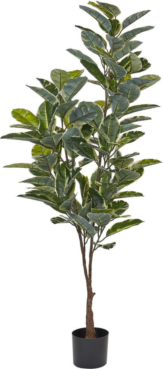 Beliani Ficus Elastica Kunstplant in zwarte pot, Groen, Hoogte: 160 cm