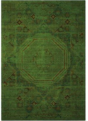Nourison Timeless TML06 Area Rug