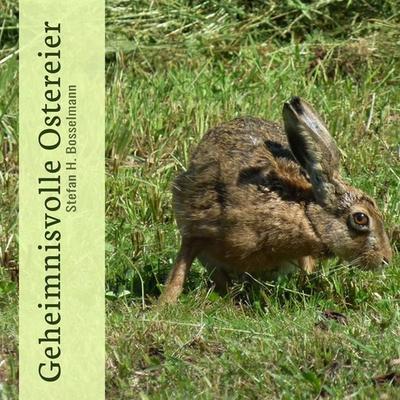 Geheimnisvolle Ostereier - Stefan Bosselmann, Audio, 9783966333542