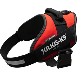 Julius-K9 IDC-Powergeschirr Grösse 1: Brustumfang 63 - 85 cm (1, Hund, Allgemein), Halsband + Leine