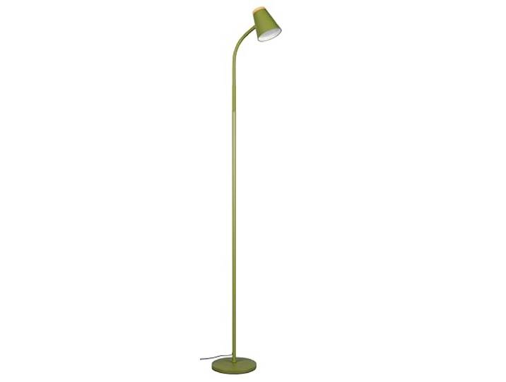 Reality Leuchten LED Stehleuchte Pongo R45831115, Kunststoff Grün, Holznachbildung, inkl. 4.5 Watt LED, Flexarm