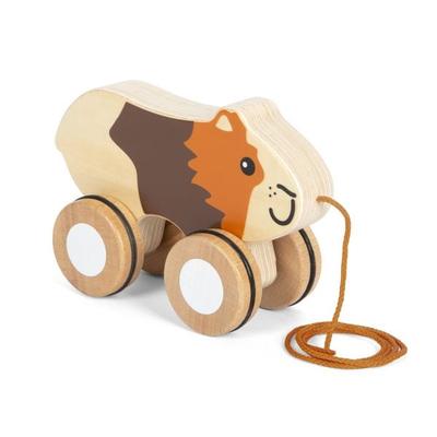 Nachziehtier Meerschweinchen
